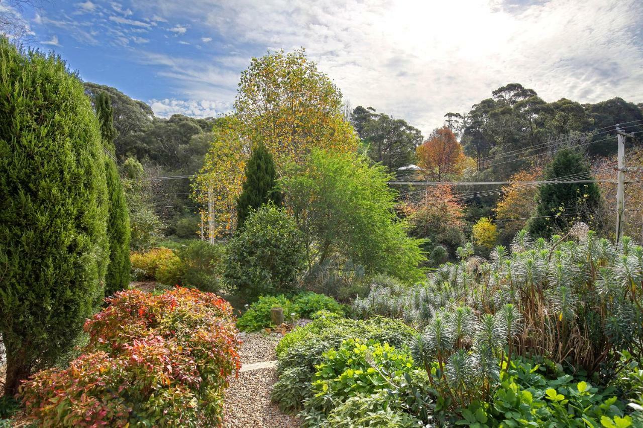 Hills Havens Cottages Leura Exterior foto
